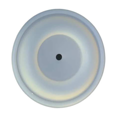 Мембрана до моделей P1000, PTFE P1000ME000063SA фотография