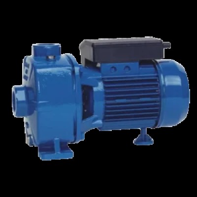 Самовсмоктувальний насос Speroni NBM 200 фотография