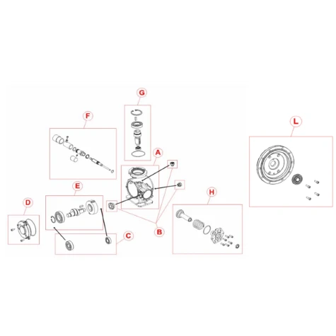 Ремкомплект до насосів SPRING MS1C138.165B группа С 9900109017 фотография