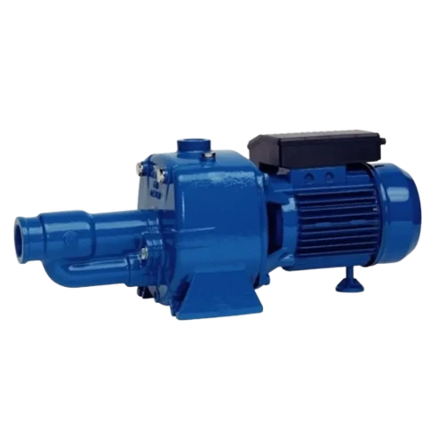 Самовсмоктувальний насос Speroni САМ 150 BR фотография