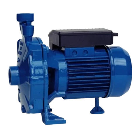 Насос моноблочний одноступінчатий SPERONI CM 2 фотография