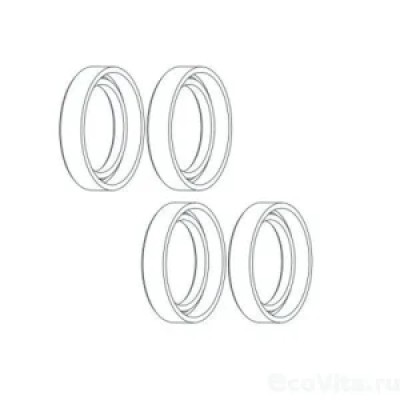 Ущільнення плунжера SEKO SPRING PS1TP048XFPM, D 48, FPM фотография