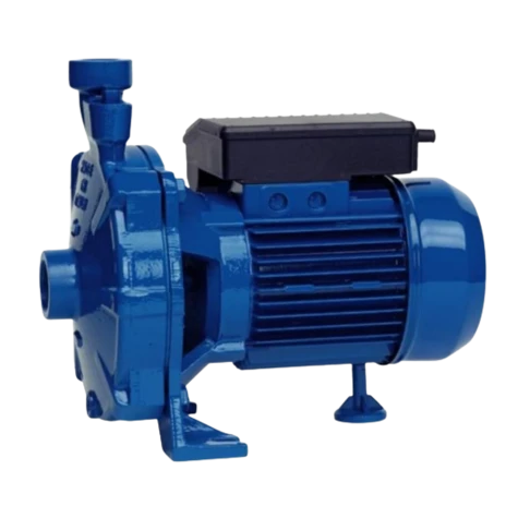 Моноблоковий центробіжний насос SPERONI GAM32 фотография