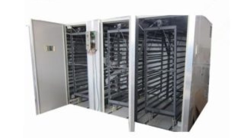 Чим продезінфікувати інкубатор та як застосувати генератор туману?