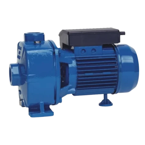 Самовсмоктувальний насос Speroni NBM 200 фотография