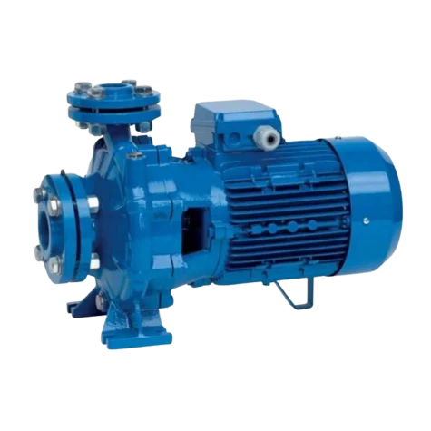 Насос моноблоковий одноступінчастий SPERONI CB 554/А фотография